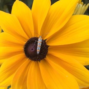 Meet your Posher, Robyn